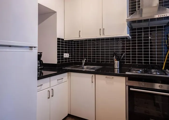 公寓 Cozy Intimate 2bd2bath Galata Tower Home! #410 伊斯坦布尔